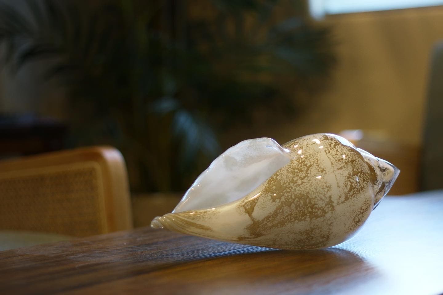 'Conch Shell' by Brian Nguyen