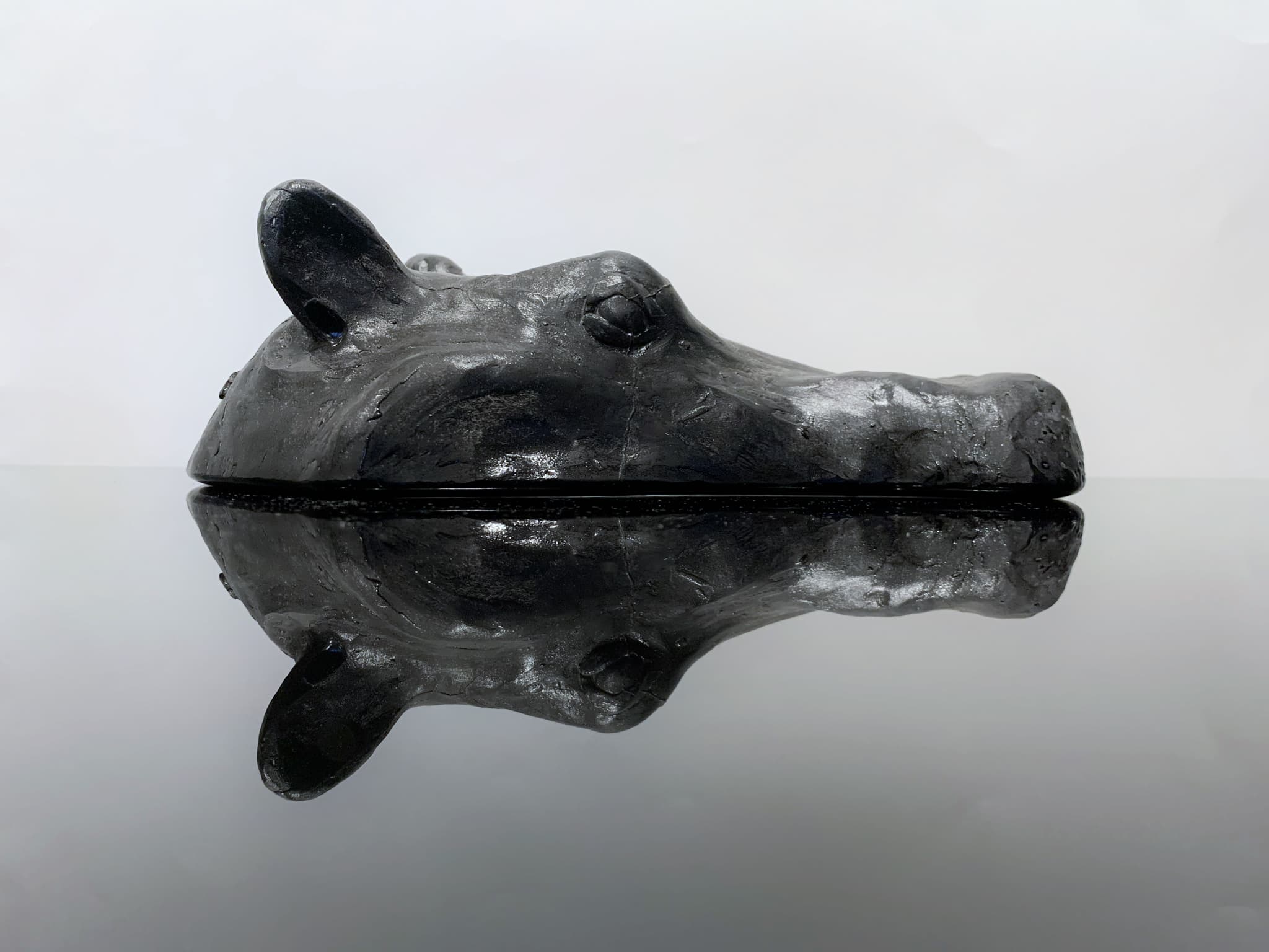'Hippo' by Brian Nguyen