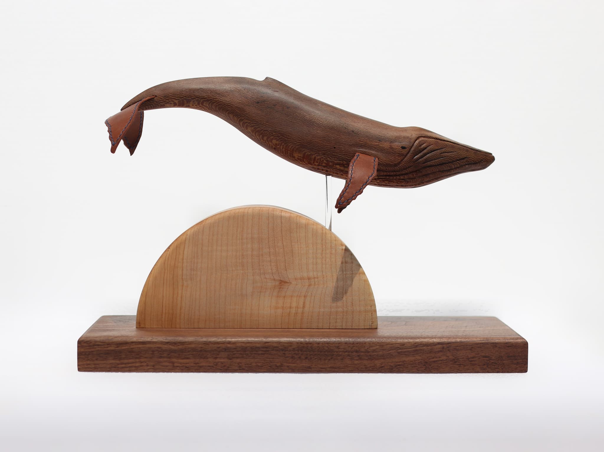 'Sycamore Humpback' by Brian Nguyen
