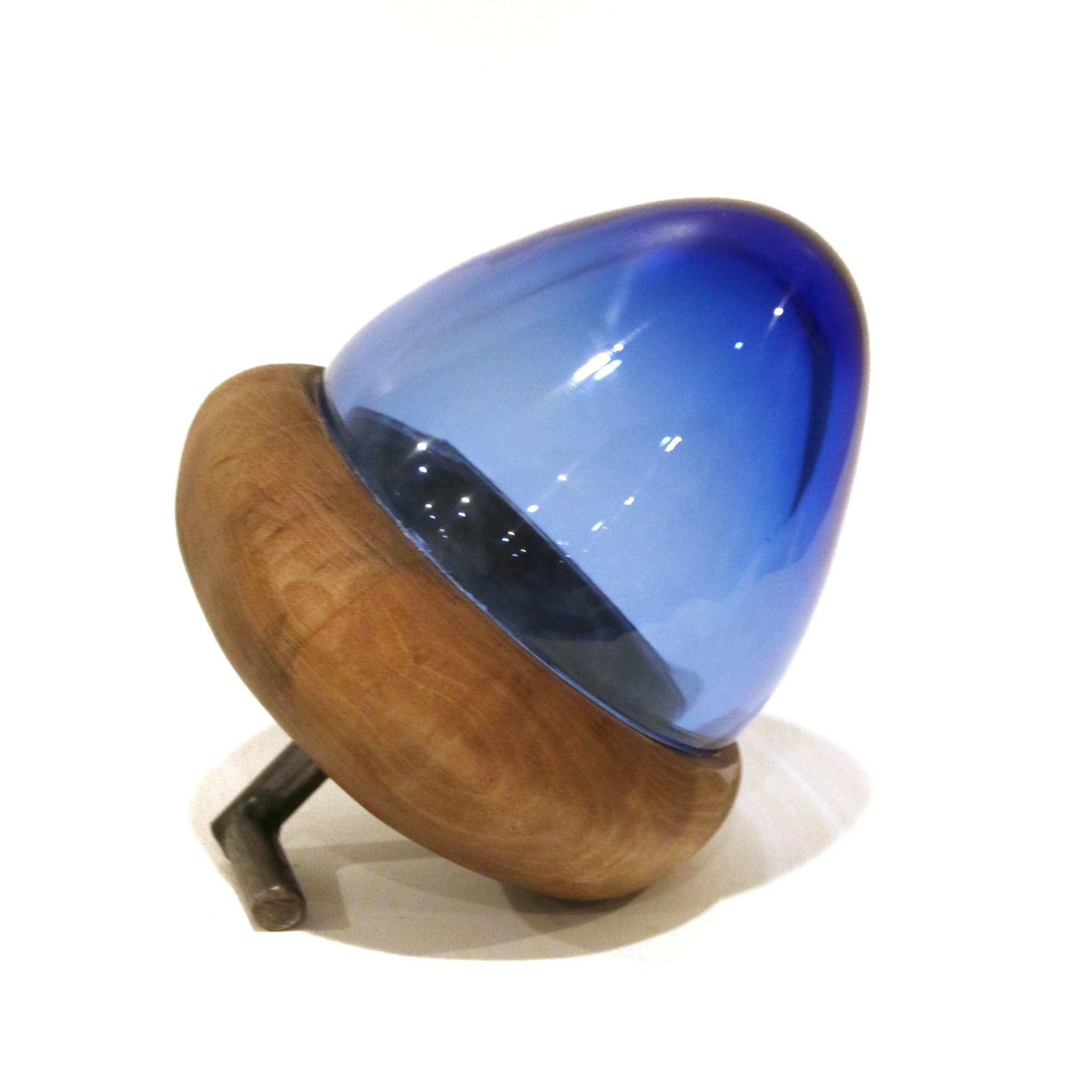 'Walnut Blue Acorn' by Brian Nguyen
