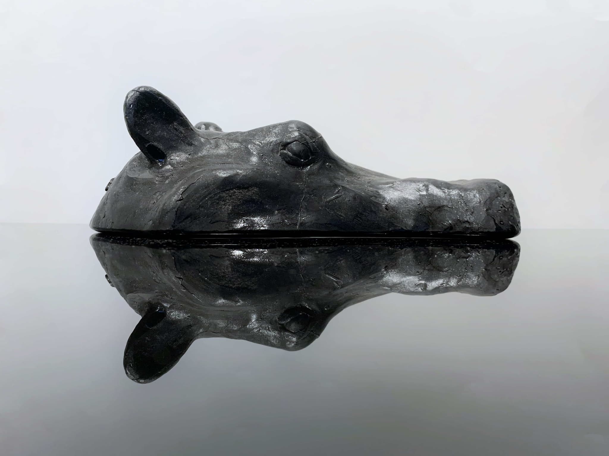 'Hippo' by Brian Nguyen