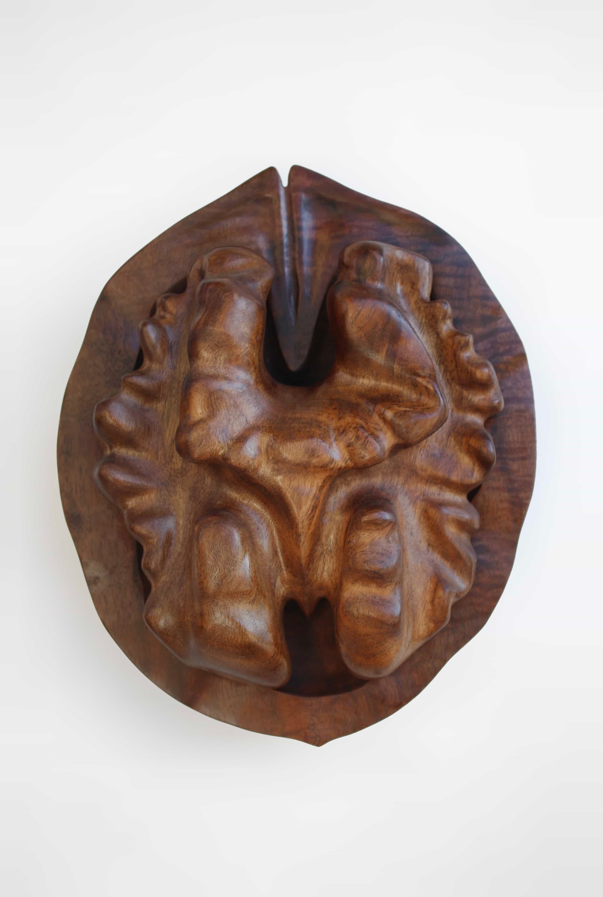 'Walnut and Walnut Walnut' by Brian Nguyen