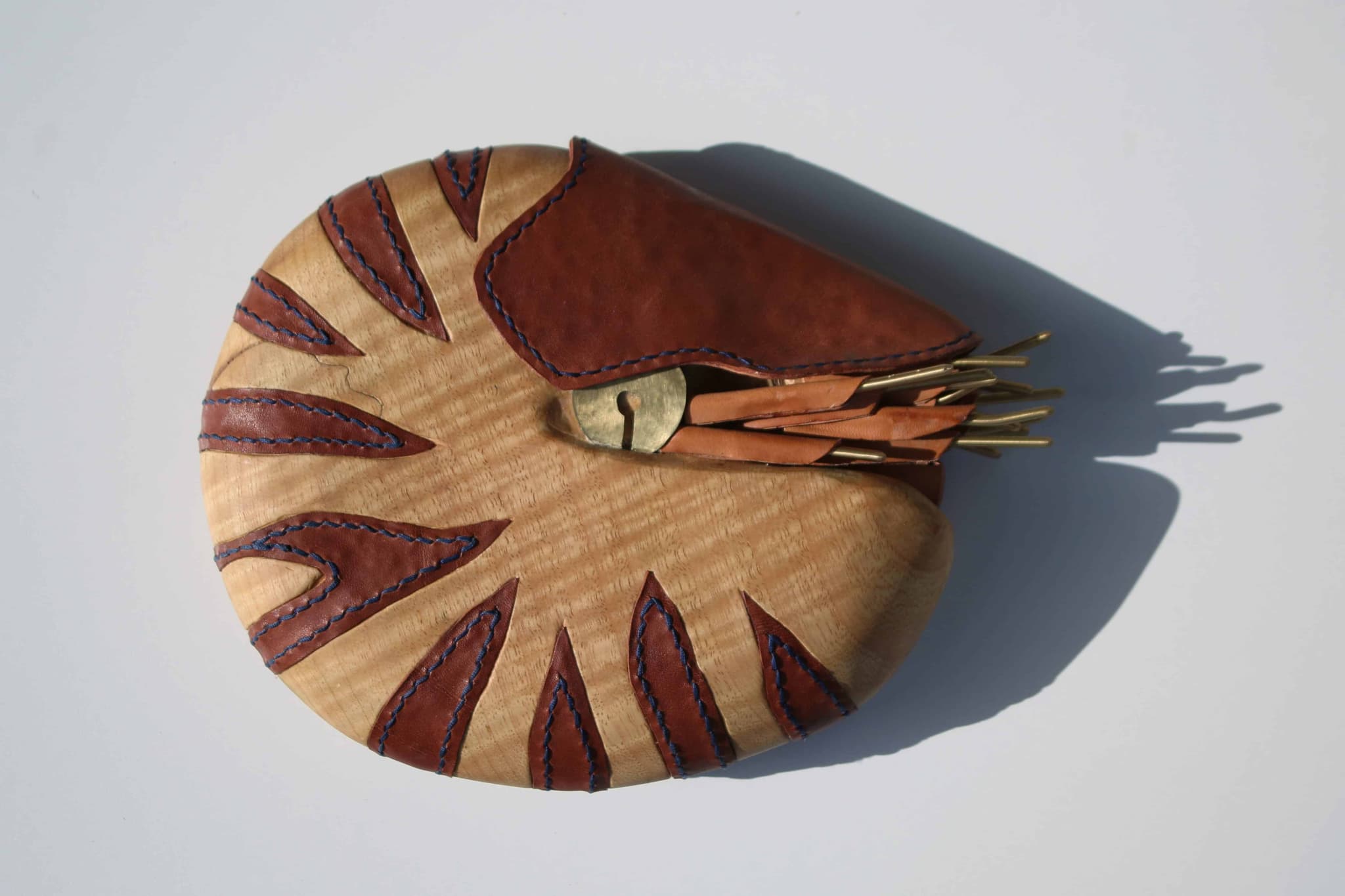 'Ash Nautilus' by Brian Nguyen