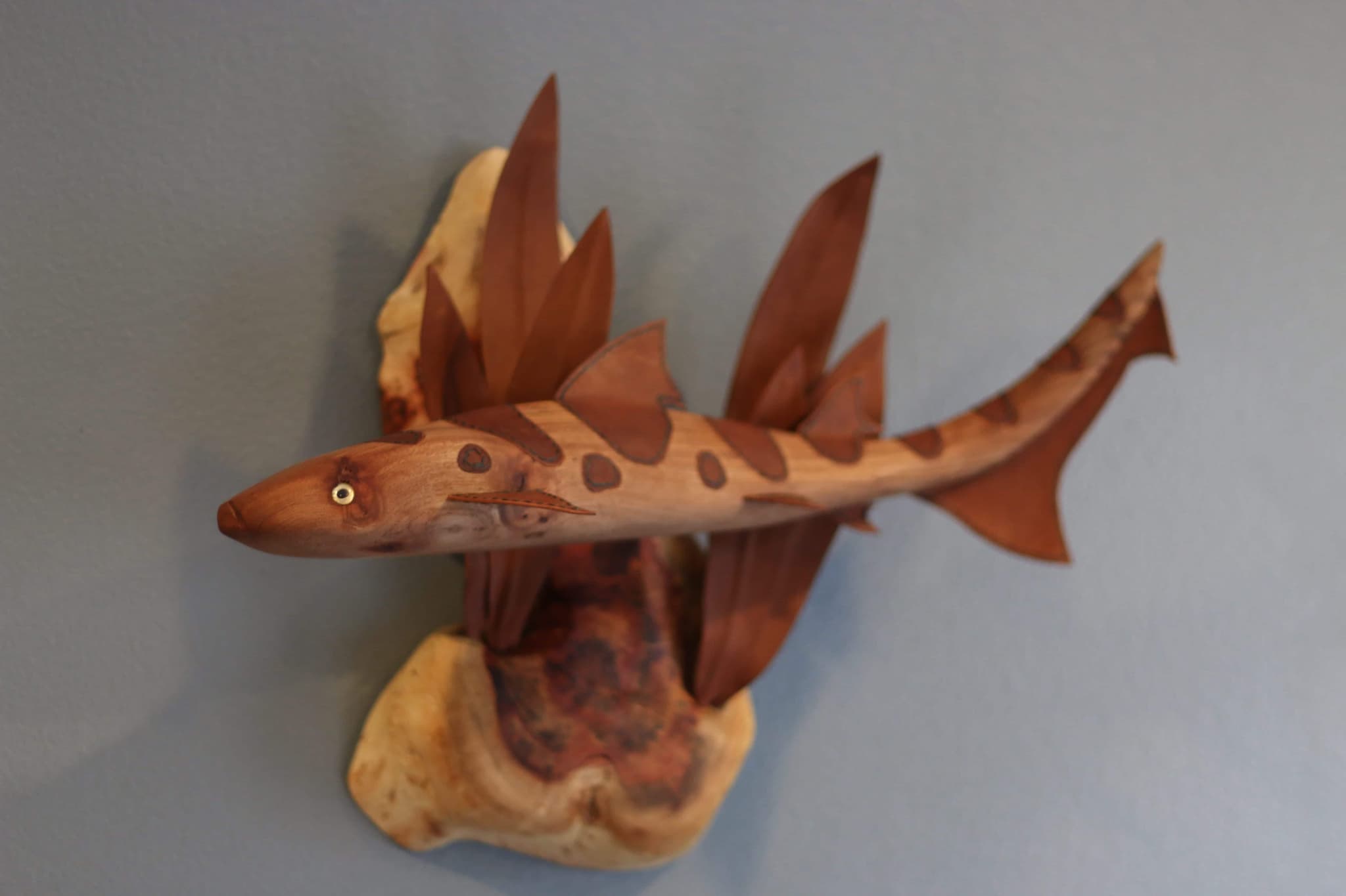 'Leopard Shark' by Brian Nguyen