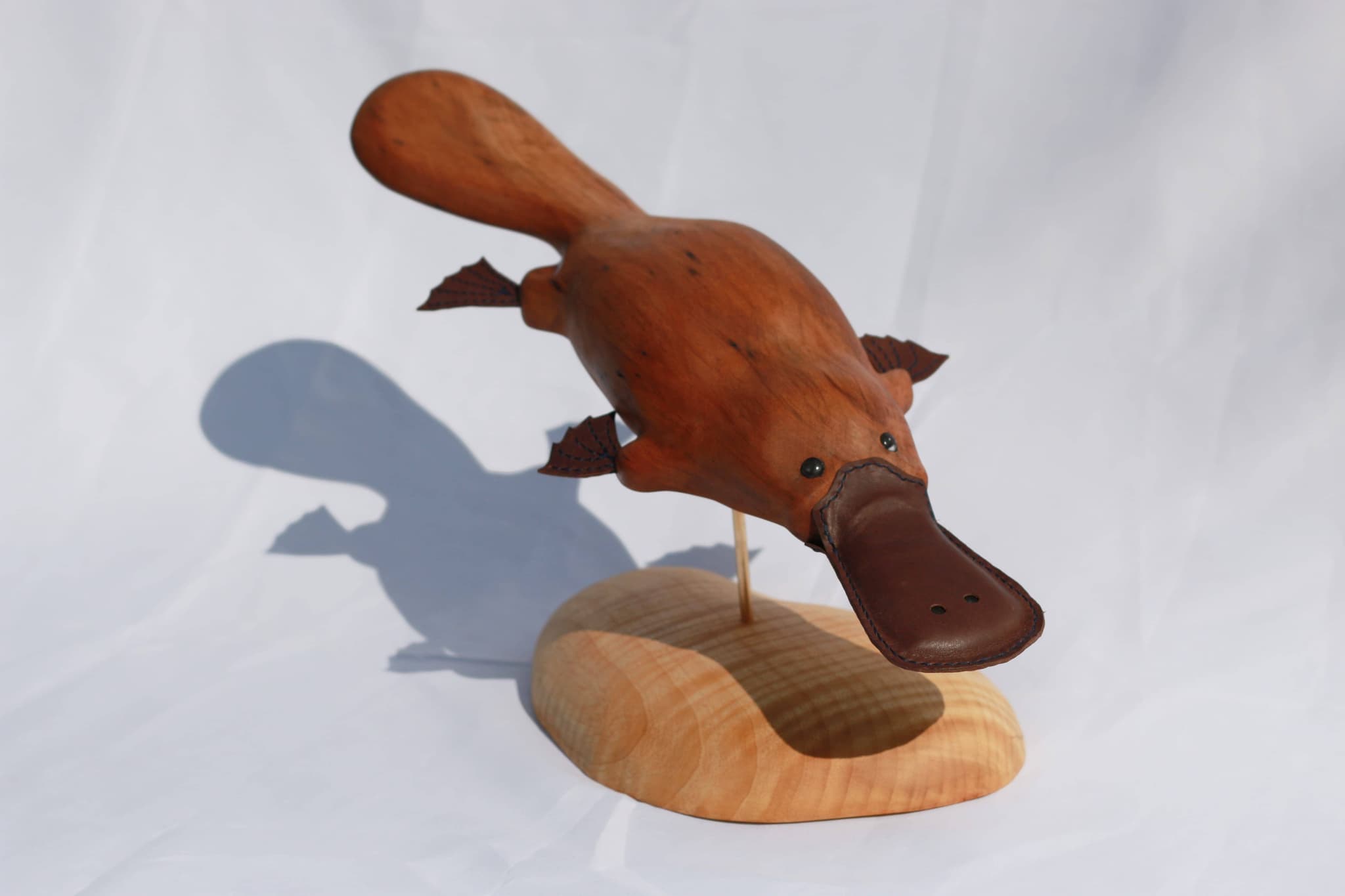 'Platypus' by Brian Nguyen