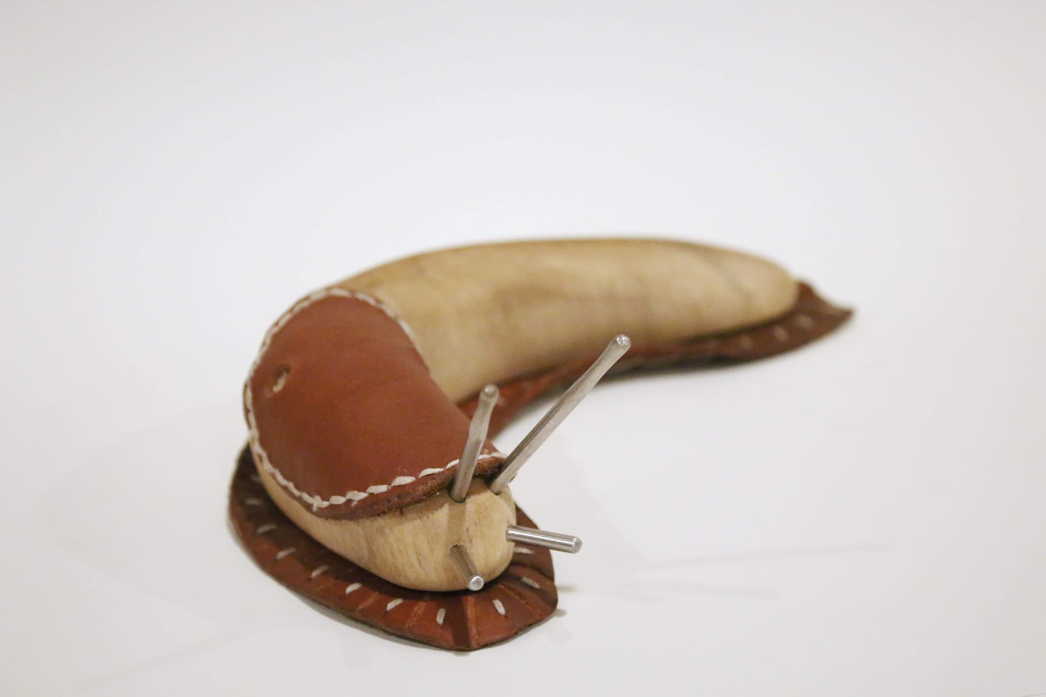 'Slug' by Brian Nguyen