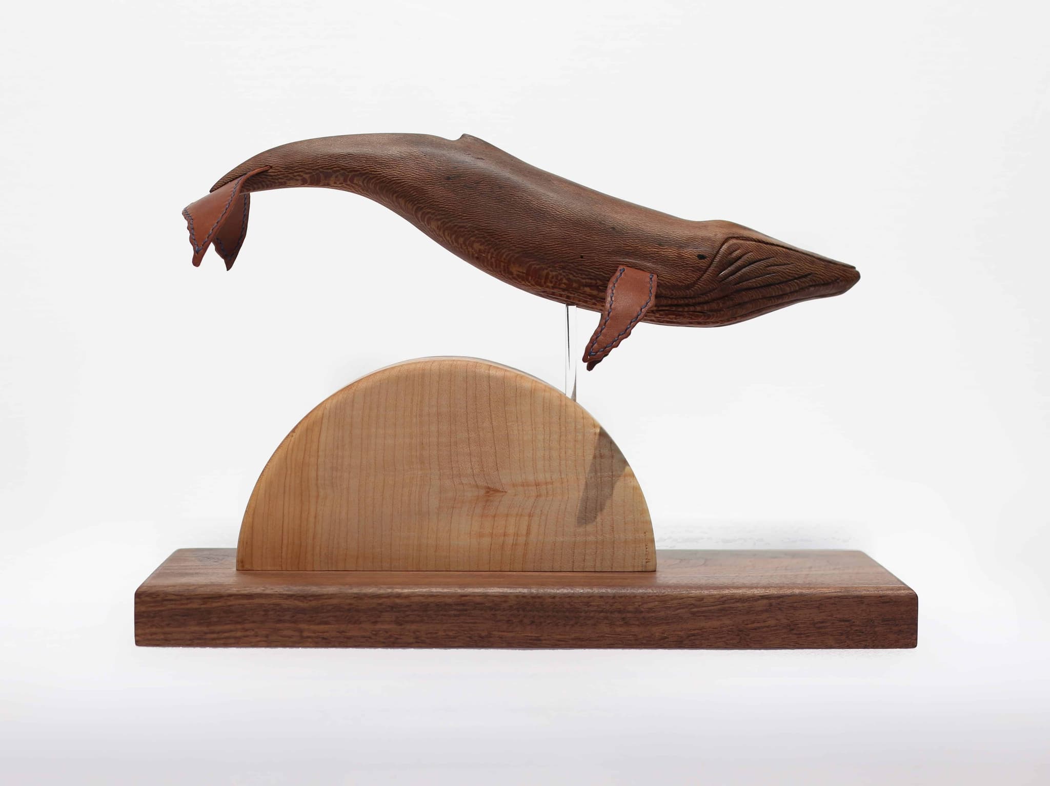 'Sycamore Humpback' by Brian Nguyen