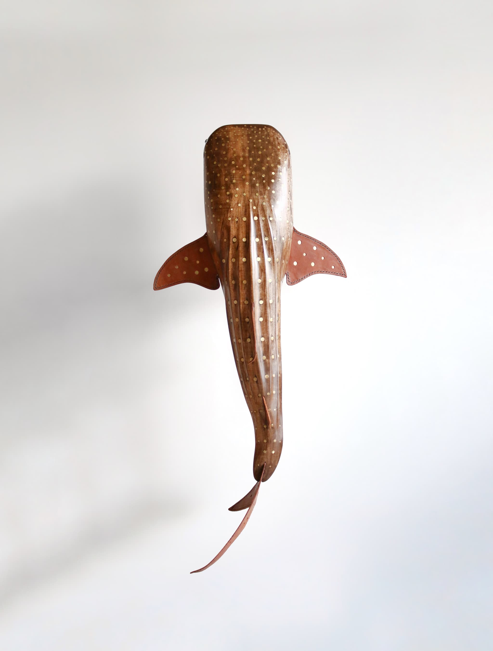 'Whale Shark' by Brian Nguyen